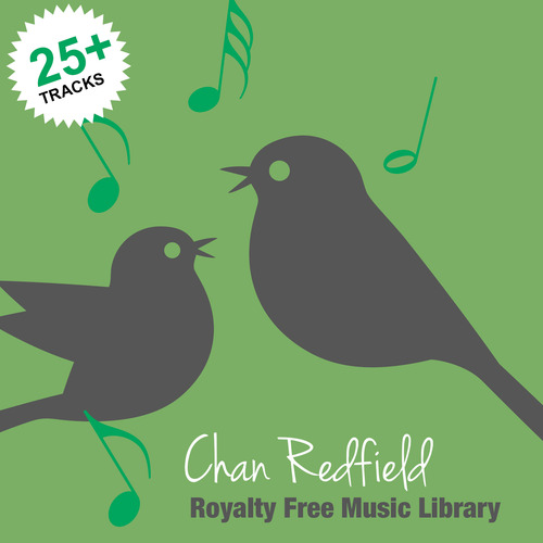 Product picture Royalty Free Background Music Library Vol 1